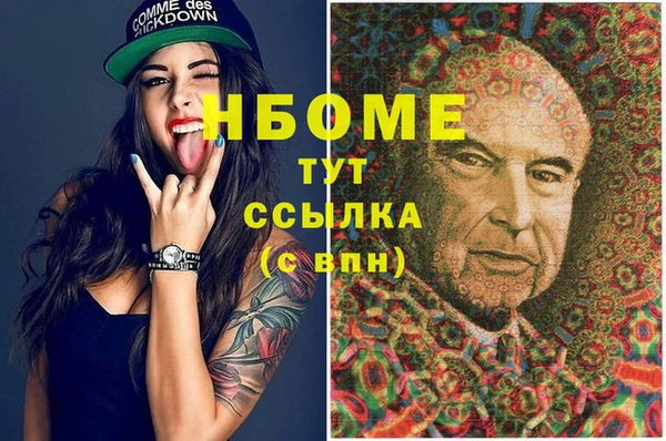 альфа пвп Новодвинск