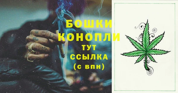 ECSTASY Осинники