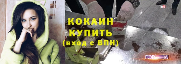 первитин Няндома