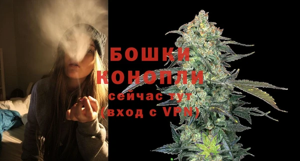 СК Новокубанск
