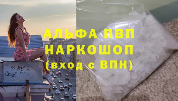 крисы Новозыбков