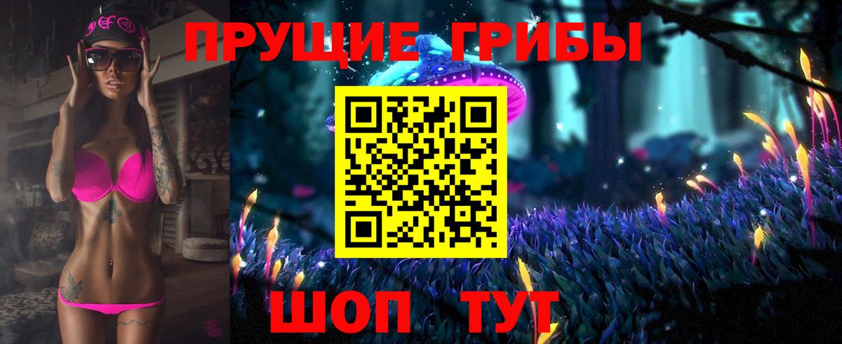 Псилоцибиновые грибы Cubensis Кашира