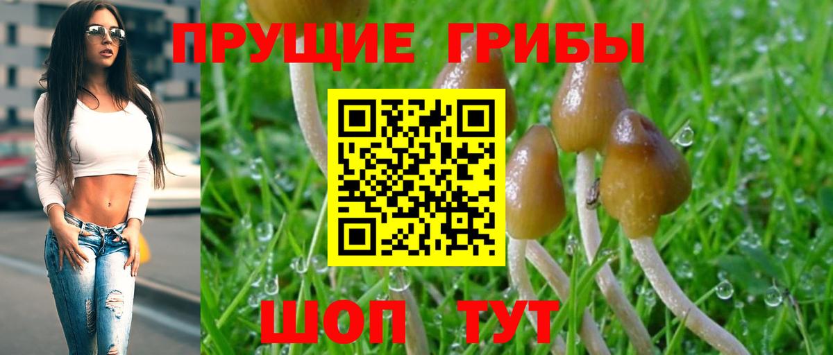 Кашира  Галлюциногенные грибы мицелий  Вход с VPN 